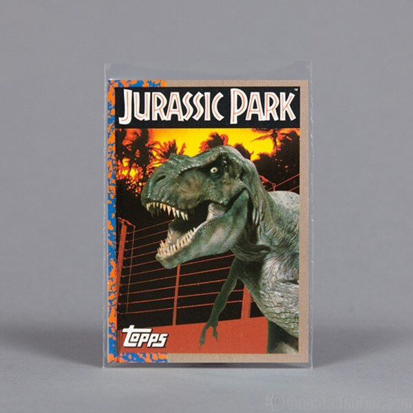 Trading Card Sleeve for New Cards
